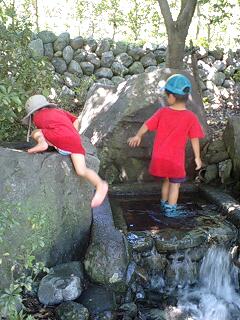 100803_1314~0001.jpg