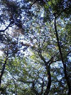 100803_1508~0001.jpg